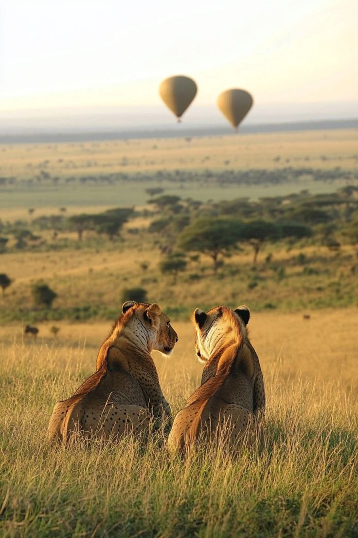Maasai Mara: Kenya’s Ultimate Safari Destination